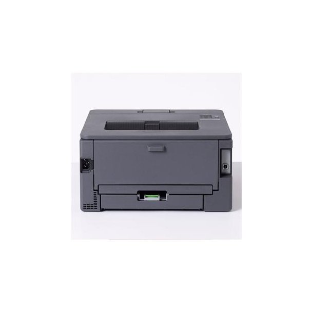 Brother HL-L2400DW laserprinter